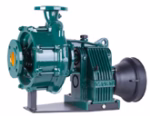 Pompe de surface Caprari MEC D - Motralec