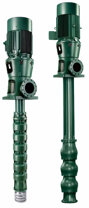 Pompe de surface Caprari P6 / P18