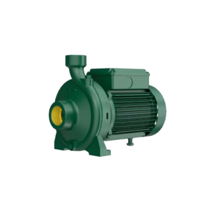 Pompes monobloc Caprari NMCF