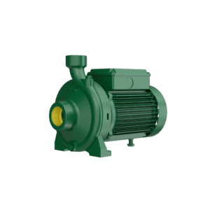 Pompes monobloc