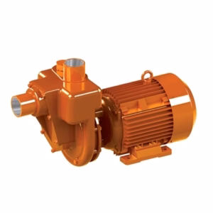 Electropompes monobloc a amorçage automatique Rovatti MEA