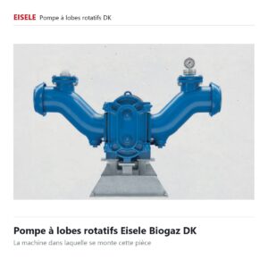 Eisele Biogaz 12 Pièces détachées pompes à lobes Eisele - biogaz