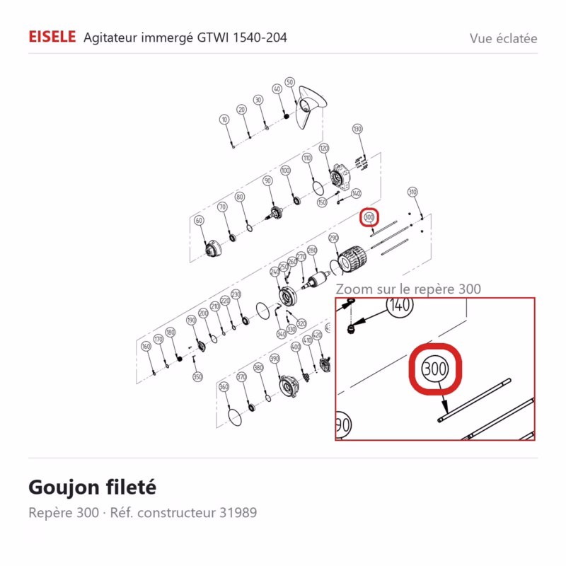 Goujon fileté Eisele Biogaz – 31989 Vue éclatée Eisele Biogaz – Goujon fileté Eisele Biogaz – 31989 (repère 300)